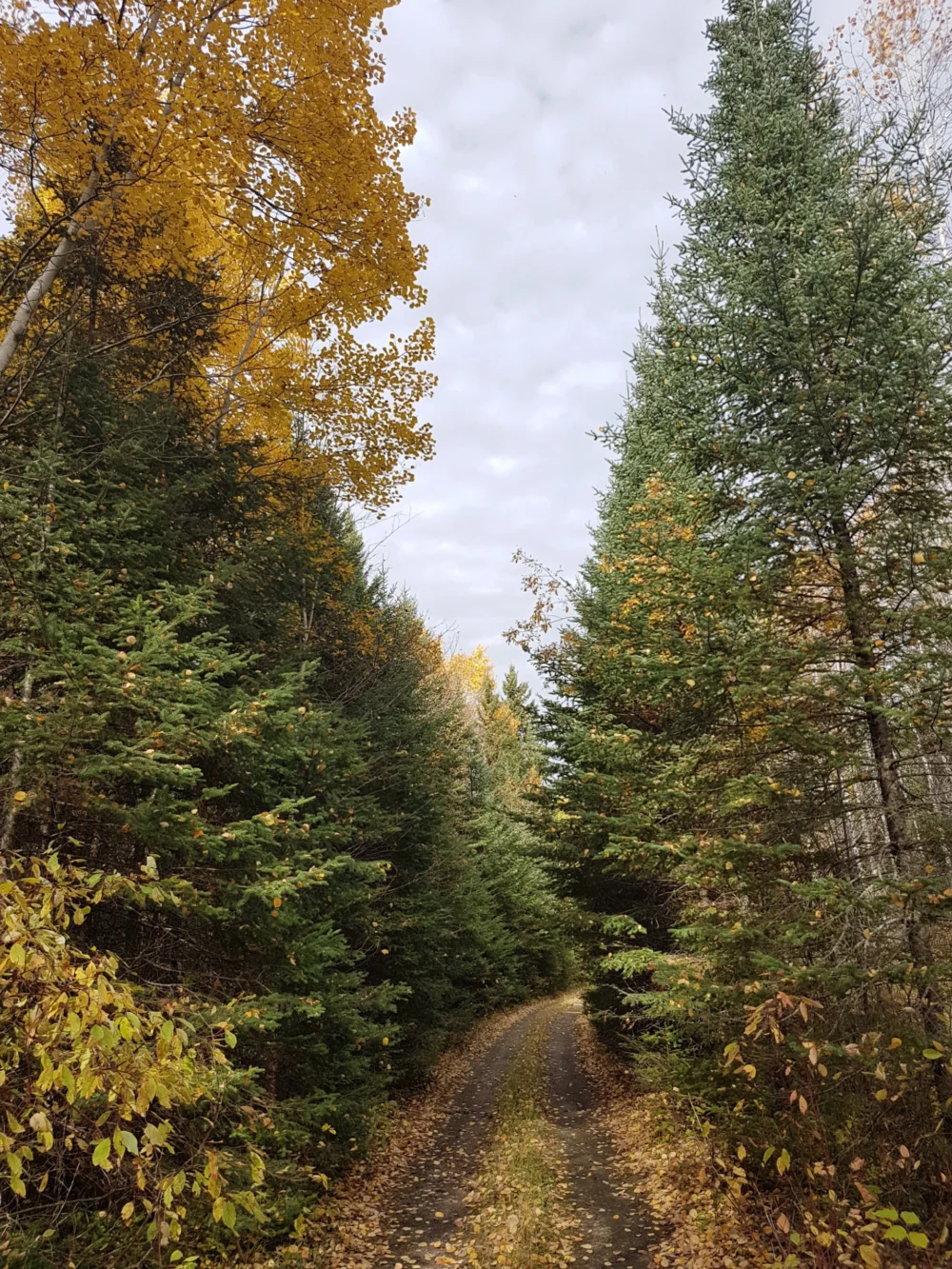 20171007_122846